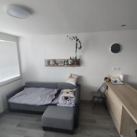 Apartment Sezimovo Usti Tabor